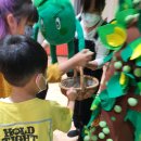 낙안초등학교 이미지