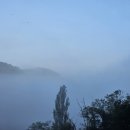 산안개 농장 이미지