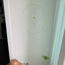 스테이 파랑 이미지