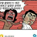 부타 이미지