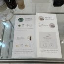 클린춘천노동조합 | ✨ 르아슈가링왁싱 춘천왁싱 — 브라질리언 왁싱 받고 온 후기