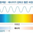 렌즈맨안경원 이미지