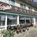 부산자갈치횟집 이미지