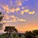 코지키즈펜션 이미지