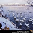 [15-03] 해외도보 26탄 홋카이도 설국여행 - [백조의 호수, 굿샤로코], 유황산(이오잔) 이미지