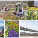 옥정호로 이미지