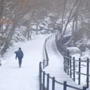 배당소 이미지