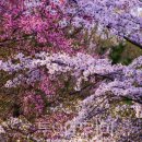 무주광고기획 이미지