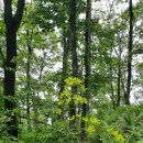 만나농장 이미지