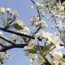 대승이네 이미지