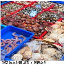 마포 농수산물 시장 생 백골뱅이 가리비 싱싱한 연안수산