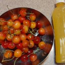 홍은농장 이미지