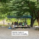 제천 캠핑 가족 여행, 꽃댕이 오토캠핑장 계곡뷰 추천.