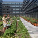 주상농장 이미지