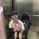 뚜따뚜 이미지
