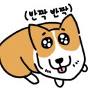 야무지개 이미지