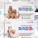 프라메디 이미지