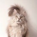 백년동물병원 이미지