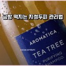 A0349 | 지성두피 관리법과 아로마티카 티트리샴푸 추천