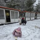 행복 낚시터 | 눈 오는 날 아이와 빙어잡이 후기｜용인 한터낚시터 빙어낚시 + 방갈로 꿀팁