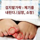 다섯발가락 이미지