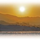 젊은그대 이미지