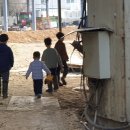 샘뜰목장 이미지