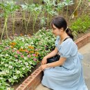 식물원 페달로옆 | 서울 성수 갈만한 곳 서울숲 볼거리 및 자전거 대여 후기