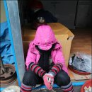 고흥재래시장 Daum카페
