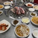 태백하늘소 이미지