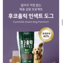 피부홀릭