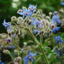 일자산 자연공원 이미지