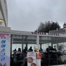 나폴리피자 | 평창 대관령 피자 맛집 나폴리피자 후기