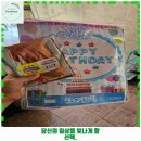 은천동-37 | 비래동 애견카페 라노보 가격 및 후기 추천 리뷰 주차 예약 알아봐요