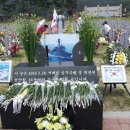 지남식 Daum카페