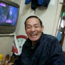 임영철농장 Daum카페
