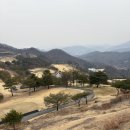 프로카월드 | 홍천 소노펠리체 빌리지 골드 그랜드 파크뷰 후기 + 앤트 월드 주말 대기