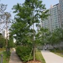 경의선숲길 이미지