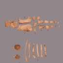 고래밥상 이미지