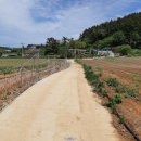 등대부동산공인중개사사무소 이미지