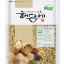 건강한 해담