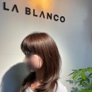 산본역 미용실 어디갈지 고민이라고? 라블랑코 후기 남긴다!