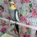 흥해초등학교 이미지