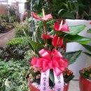 대양물류 이미지