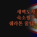 사모아 | 사모아 여행 첫날 | 공항 근처 숙소 솔직 후기 | 새벽 비행기 도착자를 위한 | 쉐라톤 트란짓 리조트 꿀팁
