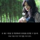 체인지그라운드5 이미지