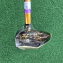 옥천 | 혼마 파크골프채 5스타 골드클래식 한정판 어머니 선물 후기 옥천 골프샵 다녀왔어요.