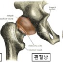 24시 나음동물 의료센터 이미지