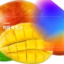 ㈜이마트 창동점 네이버블로그