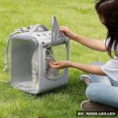 네모강아지 이미지